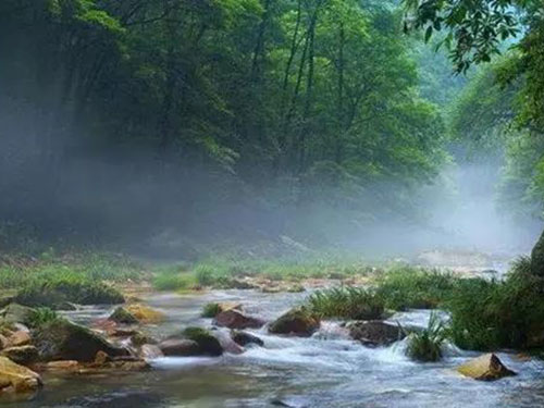 五指山梵淨間原生态食品開發有限公司,豆類食品生産加工銷售