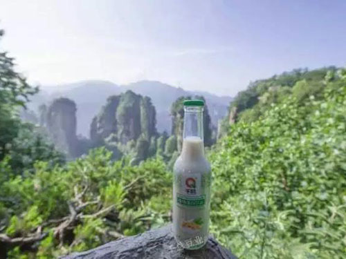 五指山梵淨間原生态食品開發有限公司,豆類食品生産加工銷售